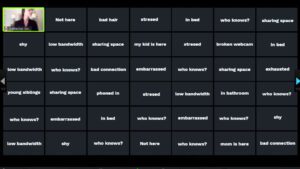 A gallery view of a web meeting. All the boxes representing the participants are blank and provide excuses for why their cameras are turned off.