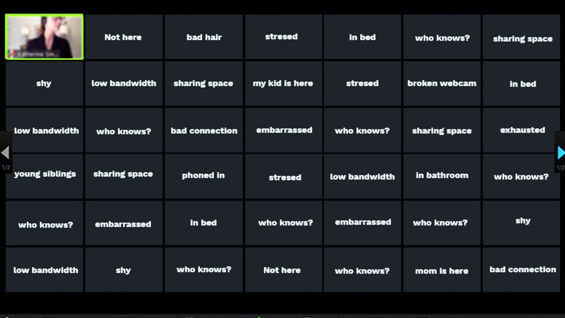 A gallery view of a web meeting. All the boxes representing the participants are blank and provide excuses for why their cameras are turned off.